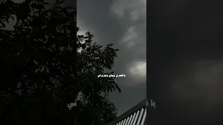 حبيبتي وعمري واميرتي     بدون موسيقى    بدون موسيقى  حالات واتس دندنها