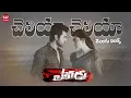 Cheliya Song with Telugu Lyrics || Yevadu Songs || RamCharan, KajalAggarwal || K.K || DeviSriPrasad