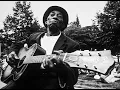Clarence 'Gatemouth' Brown   Okie dokie stomp