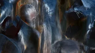                                دندنها