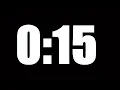 15 SECOND TIMER LOUD ALARM