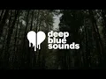 gabrielle aplin - home (lyrics)