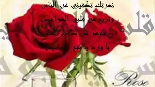 راشد الماجد   روز باريس مع الكلمات دندنها