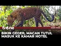 Download Lagu [FULL] Kabar Utama (06/10/2025) | tvOne