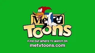 Find where you can watch the new MeTV Toons television network