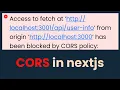 CORS errors in nextjs How to fix CORS issues in your nextjs app