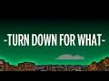 [1 HOUR]   DJ Snake, Lil Jon - Turn Down for What (Lyrics)