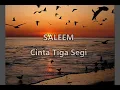 Download Lagu Saleem - Cinta Tiga Segi (lirik)