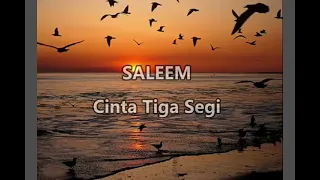 Download Saleem - Cinta Tiga Segi (lirik) MP3