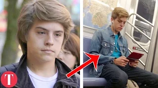 10 celebs who gave up fame to work normal jobs