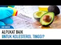 Download Lagu Benarkah Alpukat Baik Untuk Mengatasi Kolesterol Tinggi? | Kata Dokter