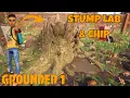 Stump Lab BURGL Chip - Grounded 1