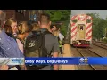 Metra Adds Trains On BNSF Line To Alleviate Overcrowding