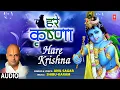 Download Lagu HARE KRISHNA I ANIL SAGAR I Krishna Bhajan I Full Audio Song
