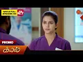 Lagu Kayal - Promo | 17 Dec 2025 | Tamil Serial | Sun TV