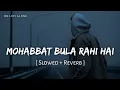 Mohabbat Bula Rahi Hai Lofi (Slowed + Reverb) | Ankit Tiwari, Payal Dev | RN Lofi Alone