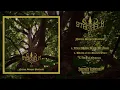 Lagu STAGHELM - Natura Semper Praevalet (Official Full Abum - Atmospheric Black Metal)