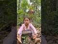 Download Lagu Survival Skills: Single mom make Strong Camping Chair from Natural Wooden #camping #outdoors