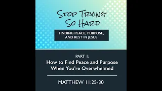 How To Find Peace And Purpose When You Re Overwhelmed Pt 1 Of Stop Trying So Hard 