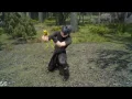 Final Fantasy 15 - The Professors Protege Yellow Frogs Location