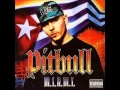 Download Lagu Pitbull - C**o (Miami Mix) [feat. Mr. Vegas \u0026 Lil Jon]
