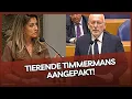 Download Lagu Yesilgöz is tierende Timmermans spuugzat! 
