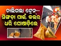 Lagu Special Story: Jabalpur Vendor Forces Passenger to Pay for Samosa, Grabs His Collar on Platform