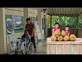 Download Lagu Mother is sick in hospital, two sons stay home to pick jackfruit to sell to buy food.DANG THI DU