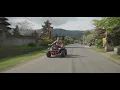 Dajamogu - Palmeblätter