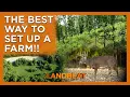 The Best Way To Set Up ANY Hunting Farm