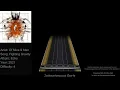 Of Mice & Men - Fighting Gravity Drum Charts (Phase Shift Custom)