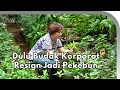 Cerita dari Pekarangan Rinati, Berawal dari Kebun Balkon Mini