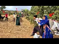 Mother-in-law and relatives angry over bride s return from forced marriage