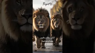 اتنين بمقام ملايين عصام صاصا Project X 