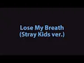 Download Lagu Lose My Breath (Stray Kids ver.) - Stray Kids (karaoke)