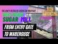 Download Lagu How Sugar is made Detailed Visit Of Sugar Mill