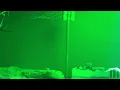 NBA YoungBoy - Death Enclaimed (Live at the Kaseya Center in Miami on 10/13/2025)