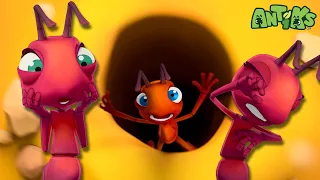 Joey S Gonna Need An Ant Bulance Antiks Funny Cartoons For Kids Moonbug 