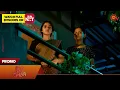 Download Lagu Singappenne - Promo | 20 Aug 2025 | Tamil Serial | Sun TV