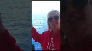 There’s Dolphins off the starboard bow….!  #shorts #greece #sailing