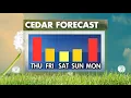 Cedar allergy forecast