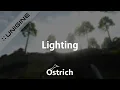 UNIGINE TUTORIAL - Lighting