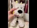 Cutest Bee Dog Plush Ever Cute Finds