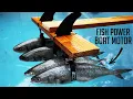 Channel