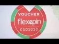 Flexepin Intro