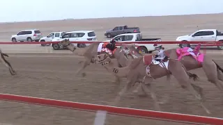 الشوط 1 طرب للسيد حمدان بخيت فطيس المنصوري توقيت 9 33 34 