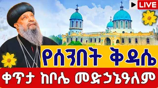Live የሰንበት ቅዳሴ ከቦሌ መድኃኔዓለም መስከረም 18 ቀጥታ ቦሌ መድኃኔዓለም Eotc Kidasie Bole Medhanialem Sep 28 