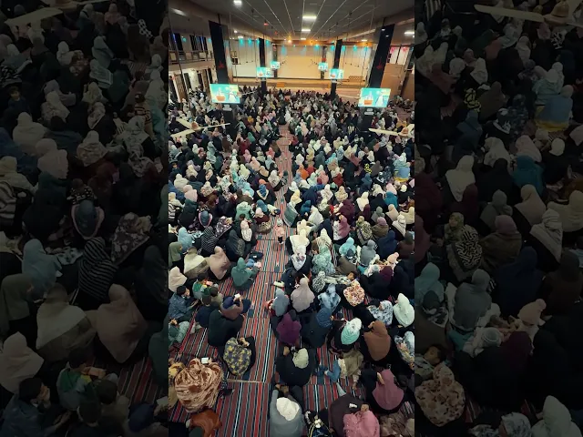 ⁣العتبة العلوية تُقيم احتفالًا مباركًا في دولة الهند احتفاءً بذكرى ولادة المولى أمير المؤمنين (ع)