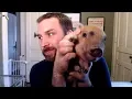 Why You Shouldn t Get a Mini Pig
