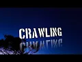Download Lagu Linkin Park Crawling – (One More Light) Story WA 30 detik